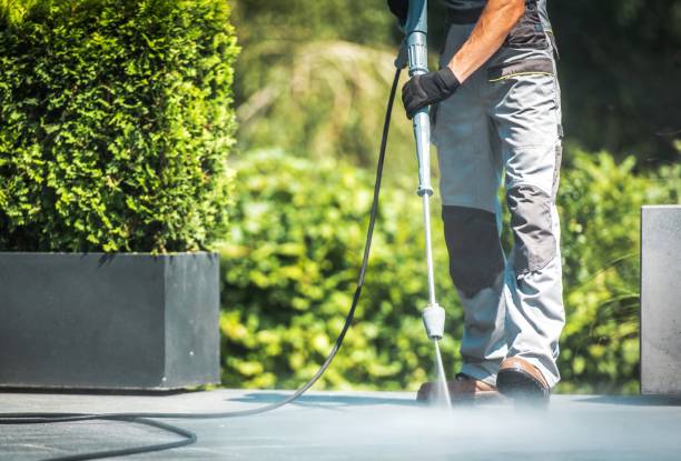 Best Roof Washing  in Daisetta, TX