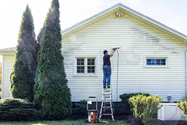 Trusted Daisetta, TX Pressure Washing Experts